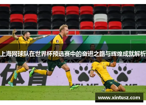 上海网球队在世界杯预选赛中的奋进之路与辉煌成就解析