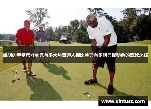 姚明的手掌尺寸究竟有多大与普通人相比差异有多明显揭秘他的篮球之路