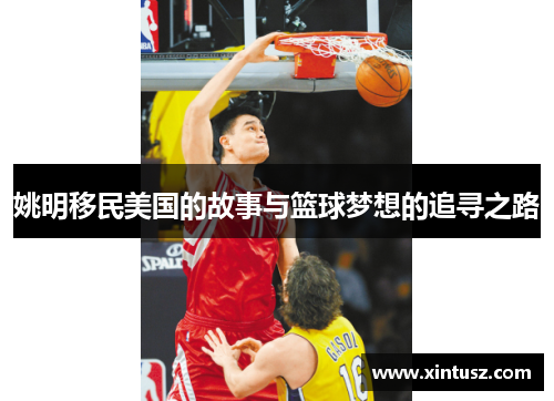 姚明移民美国的故事与篮球梦想的追寻之路