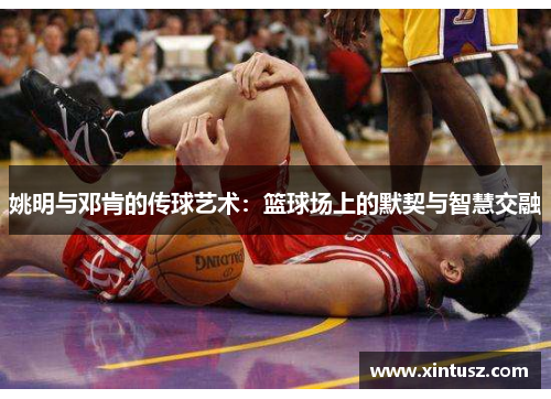 姚明与邓肯的传球艺术：篮球场上的默契与智慧交融