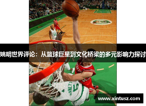 姚明世界评论：从篮球巨星到文化桥梁的多元影响力探讨
